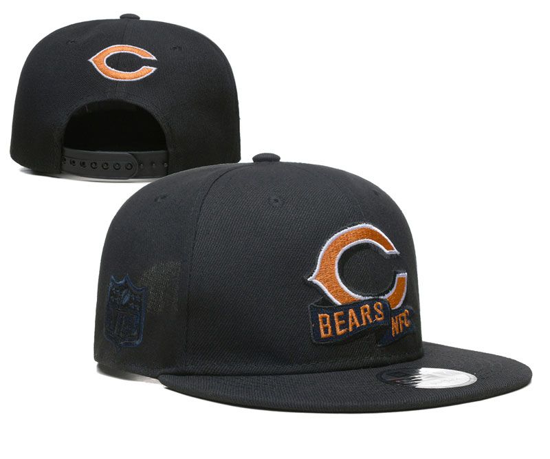 2022 NFL Chicago Bears Hat YS1020